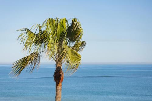Hotel Los Ángeles Denia - image 11