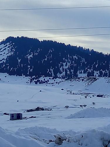 Guest house grizzly in Jergalan