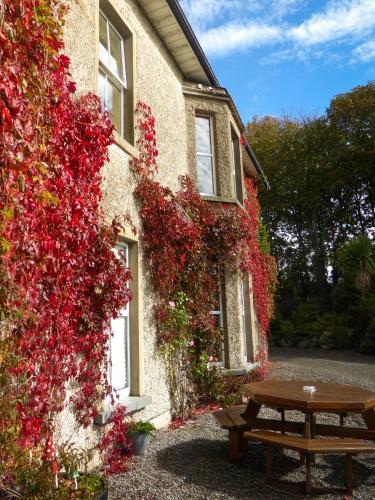 Tampilan eksterior, Glendine Country House Wexford in Wexford