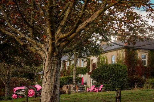 Glendine Country House Wexford in Wexford