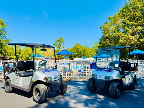 Put-in-Bay Island Club #105 - image 6