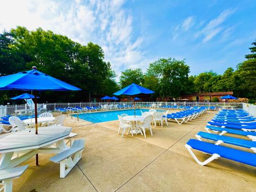 Put-in-Bay Island Club #98 - image 9