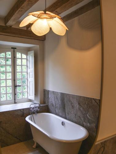 Manoir Du Moulinet - Chemazé