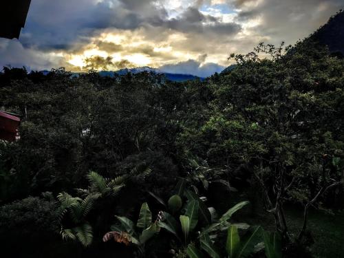 tuin, Mindo Suites - Rufous in Mindo