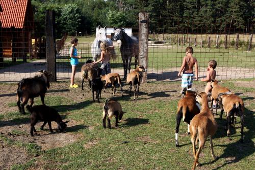 Na Samotě Ve Srubu - Accommodation - Plzeň