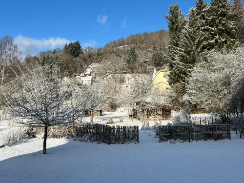 Garden, Chambres d'hotes Le Jardin de Rosalie in Thann