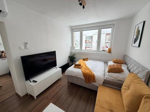 1 queen bed, 1 sofa bed