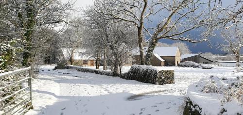 Exterior view of Fodol Cottages