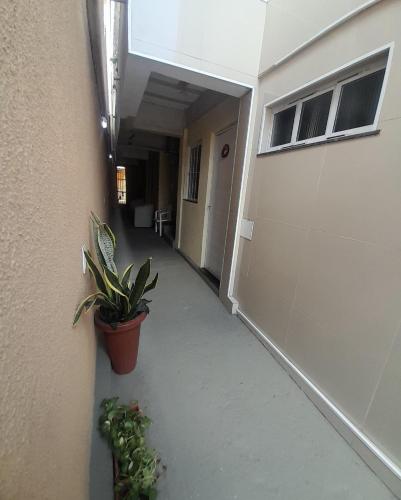La casita flats in Damas