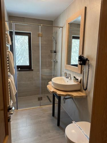 Chalet Alpina