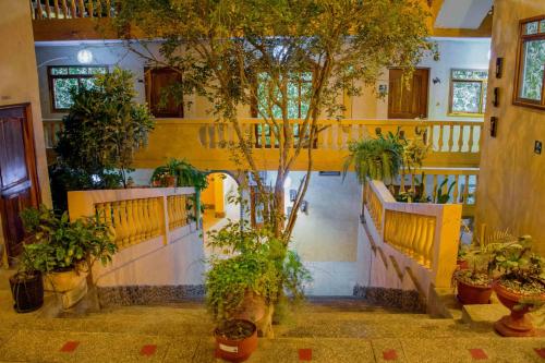 Зовнішній вигляд готелю, Tuzco Lodge in Пуерто Лопез