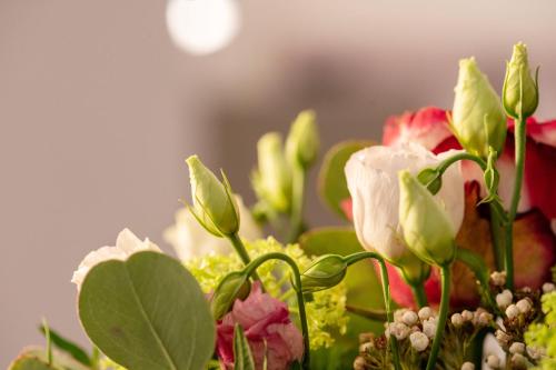 Boutique Hotel Frieden - image 9