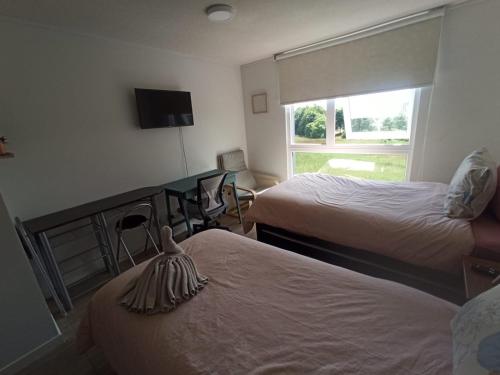 Departamento Estudio Isla Teja Vista Hermosa Humedal