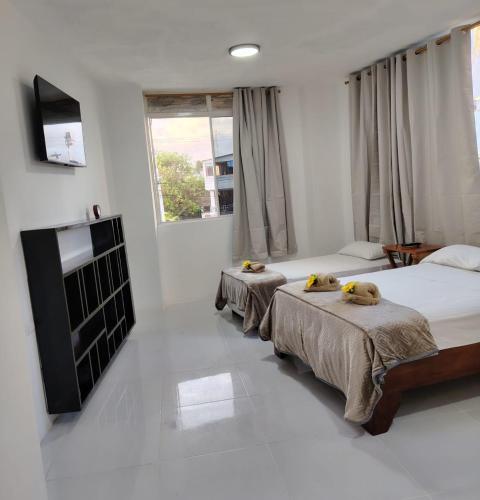 Galápagos Apartments