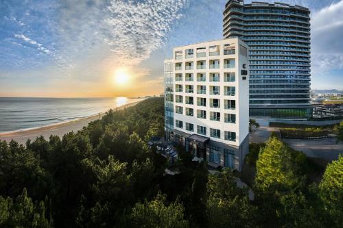 Hotel Hound Gangneung Gyeongpo - 강원도