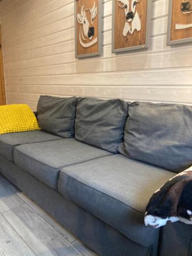2 bedrooms, 5 beds