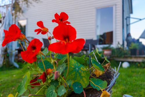 Strandheimen Guesthouse - image 4