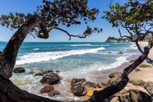 外部景觀, Ronas - Whiritoa Beach Bach in 旺阿馬塔