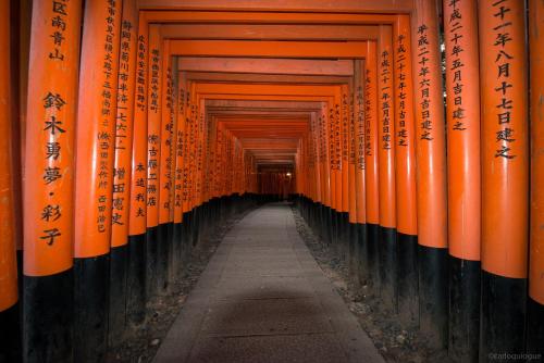 Coto Fushimi Inari 1 – Kyoto, IL