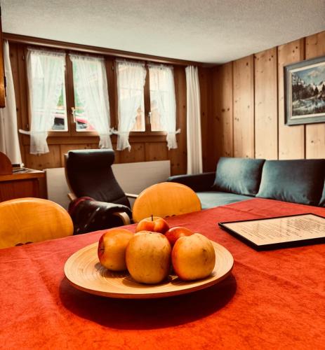 Iekārtas, Gemütliches Apartment Rosa an der Langlaufloipe (Gemutliches Apartment Rosa an der Langlaufloipe) in Gadmena
