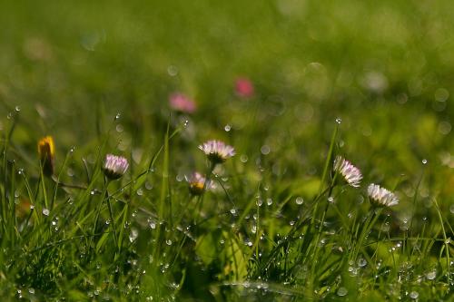 Gästehaus Bischof - image 9