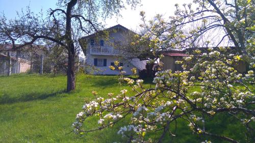 Obstgartenferien
