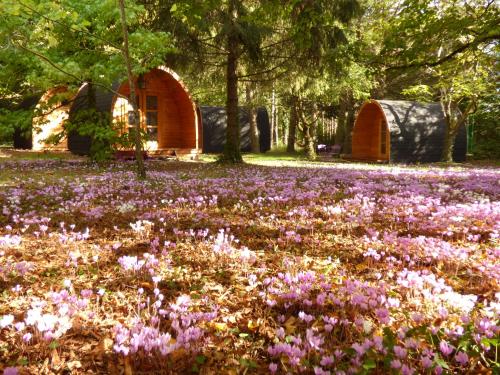 La Rossignolerie - POD Cabanes des châteaux