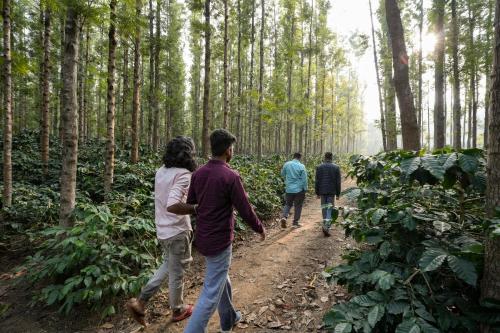 Happy Go Chikmagalur - image 2