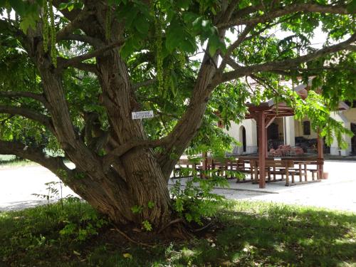 Seadmed, Agriturismo Rivieraoglio in Piadena