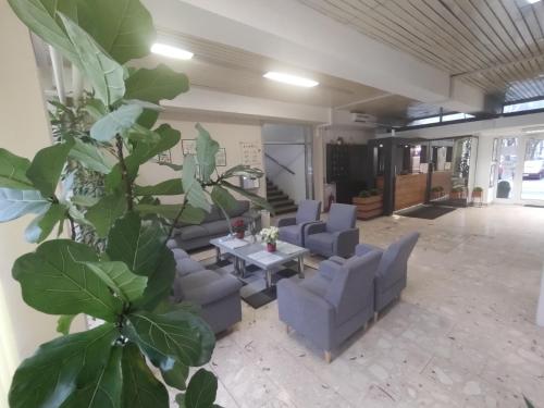 Hostel Arena 4