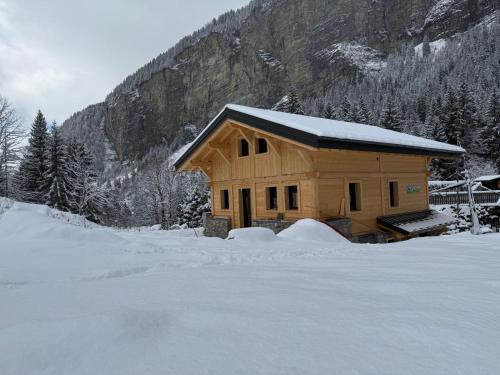 Le Gypaete, Prodains, Morzine