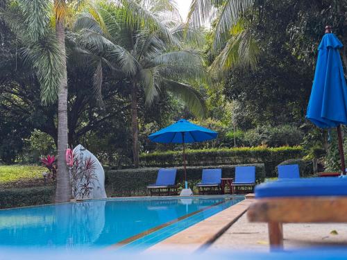 PawPaw Resort - 수영장