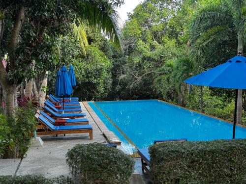 PawPaw Resort - 수영장