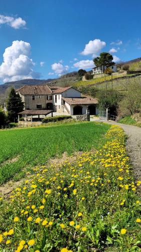 Viesnīcas āriene, Appartamento Barbera in Cascina Marenco Langhe Country House in Cessole