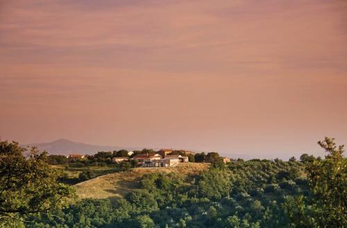 Apartment Mammolo - Agriturismo Salustri in Colle Massari