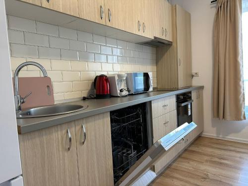 Style Apartments Timisoara Lipatti15 with Parking Option - image 3
