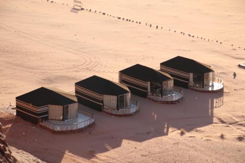 Desert Tree camp&tours - Wadi Rum Desert Tree camp&tours - Wadi Rum