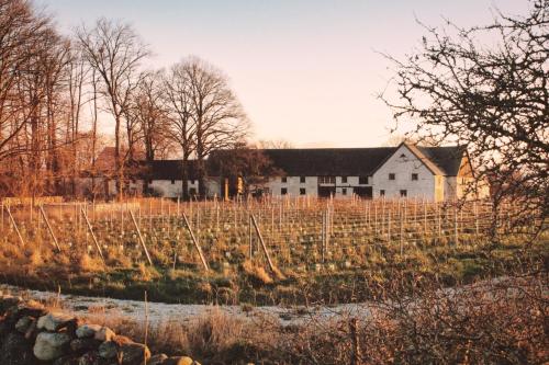 Viesnīcas āriene, Botrajvs Vin & Logi in Burgsvik