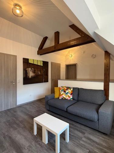 Facilities, Maison Bleue, Appartements Thann centre, proche vignoble, terrasse avec vue in Thann