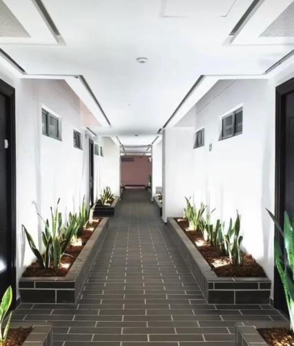 Apartamento Oasis