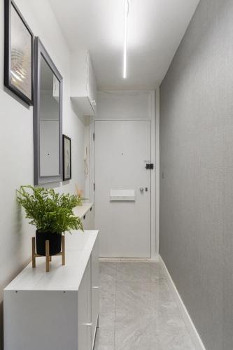 St Johns Wood Wonder 2 - image 11