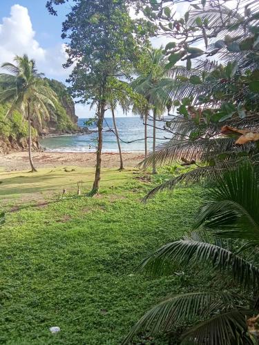 Cassiane apartments in Anse De Mai