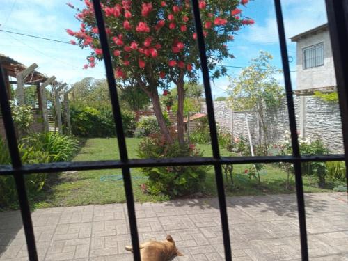 Nahomi House in Playa Dorada