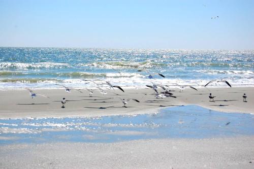 A Place at The Beach 9540-2J - image 3