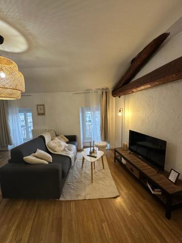 Közös társalgó / TV, JFK13 Suite Cocoon Hypercentre Fibre et vue Sancy in Issoire