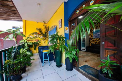 Létesítmények, Onca da Praia Hostel in Vitoria