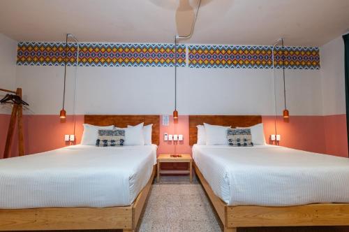 Selina Oaxaca Room Type - Quadruple Room