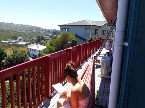 Wellington Vibes in Island Bay