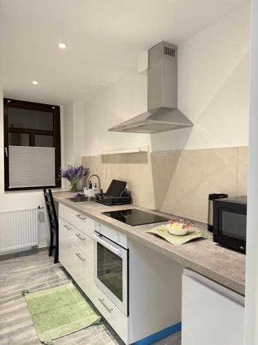 Apartmenthaus Döbeln Zentrum (Apartmenthaus Dobeln Zentrum) in 德伯爾恩