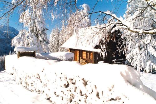 Ferienhütte Windlegern in Neukirchen, Österreich